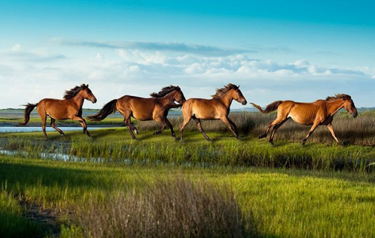 Beaufort & the Southern Outer Banks